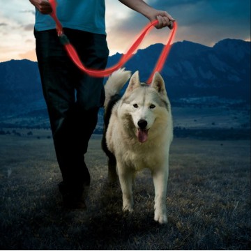 NITE-IZE NiteDog įkraunamas...